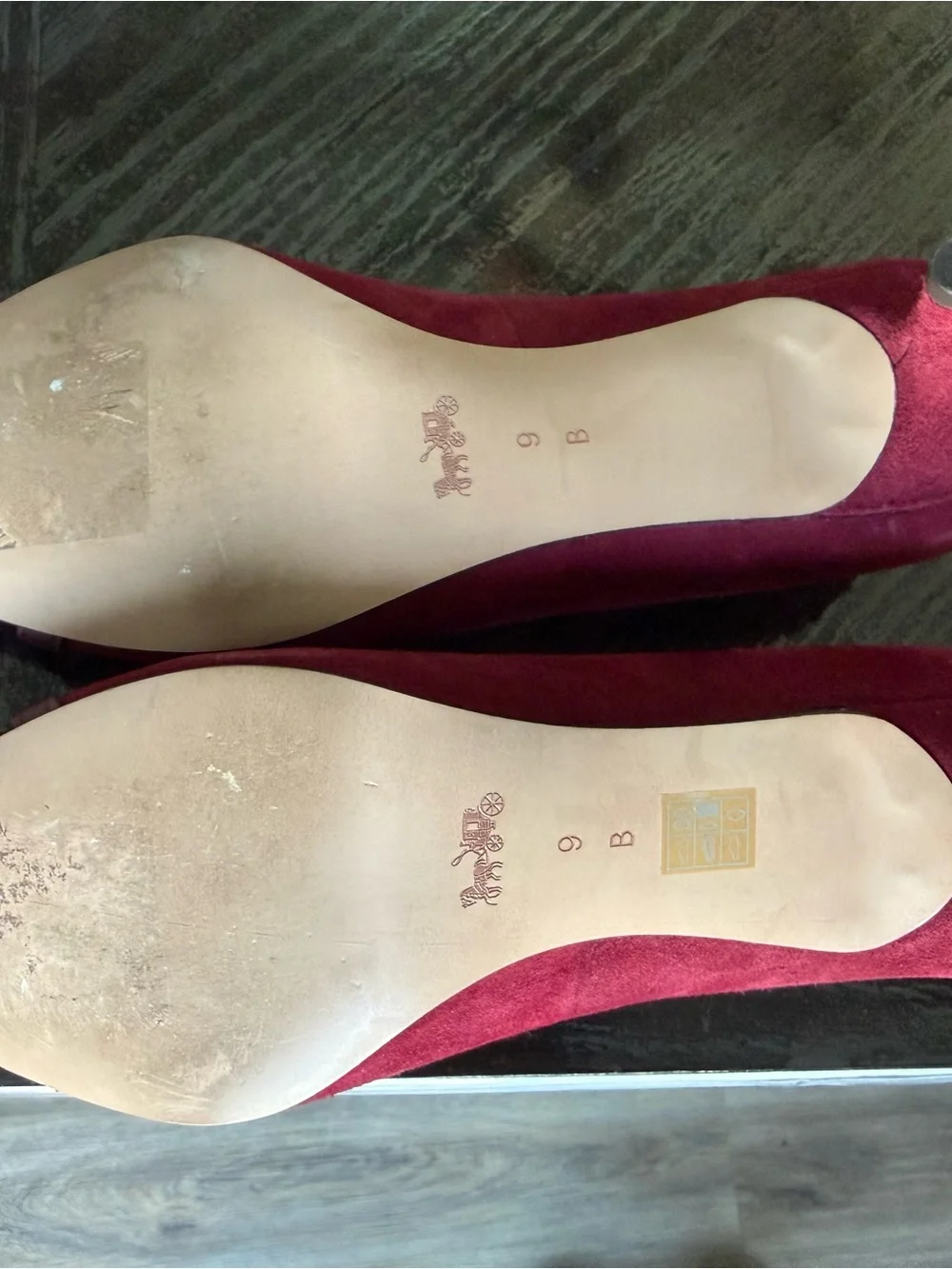 Coach Burgundy Pointed Toe Pumps with Gold Accent